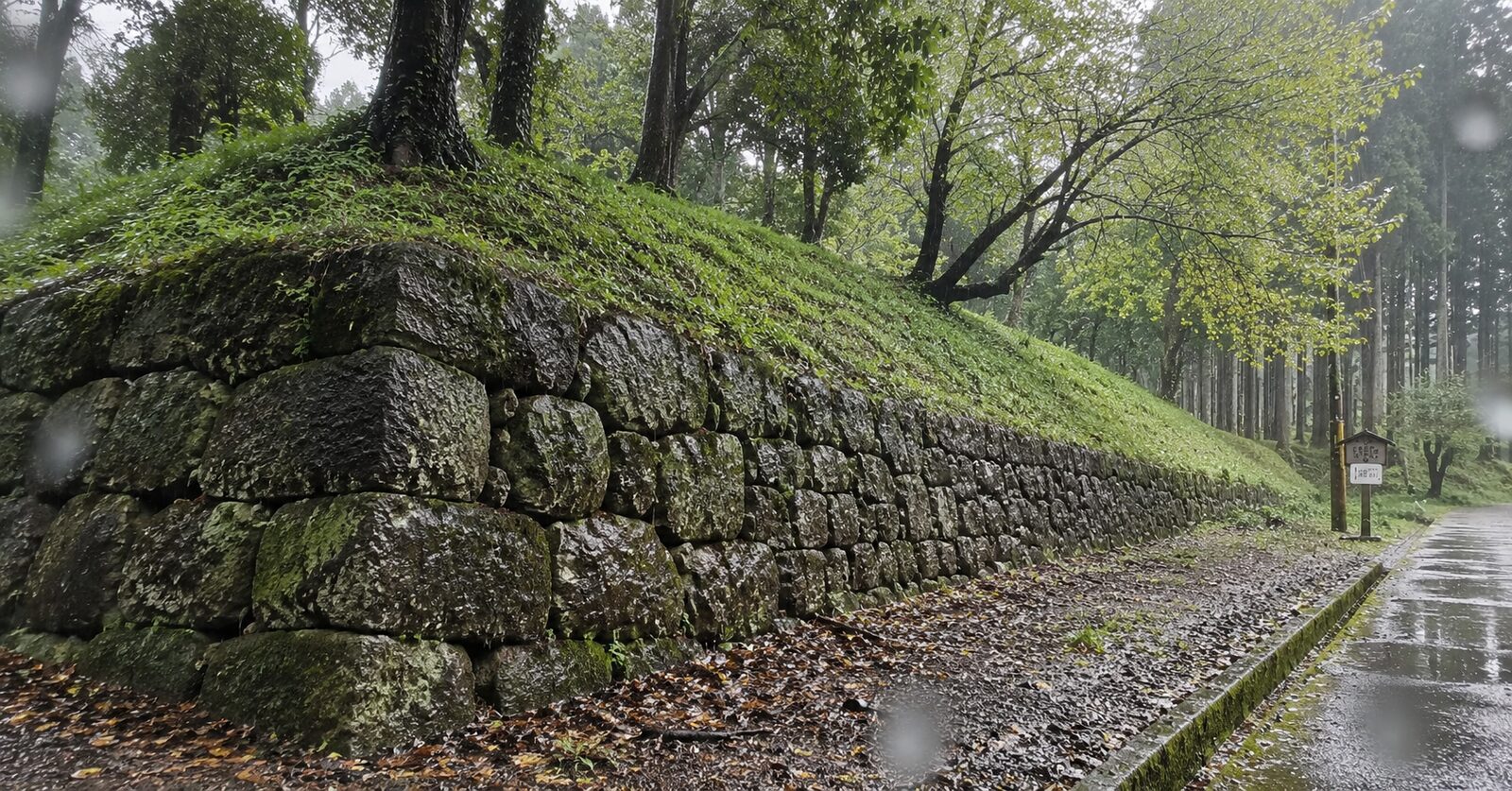 karasuyamajo-ishigaki-michi