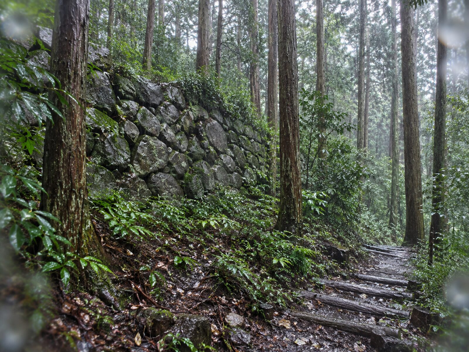 karasuyamajo-ishigaki-sando