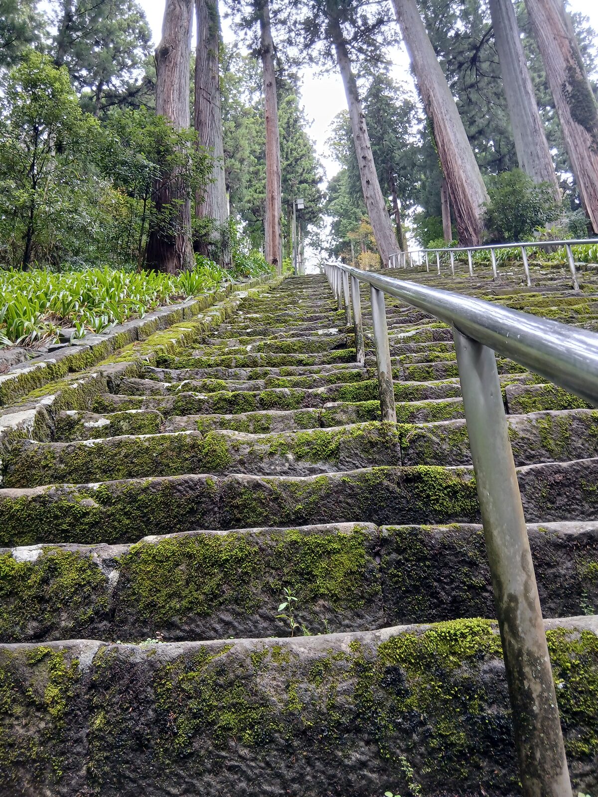 久遠寺の五重塔と鐘楼