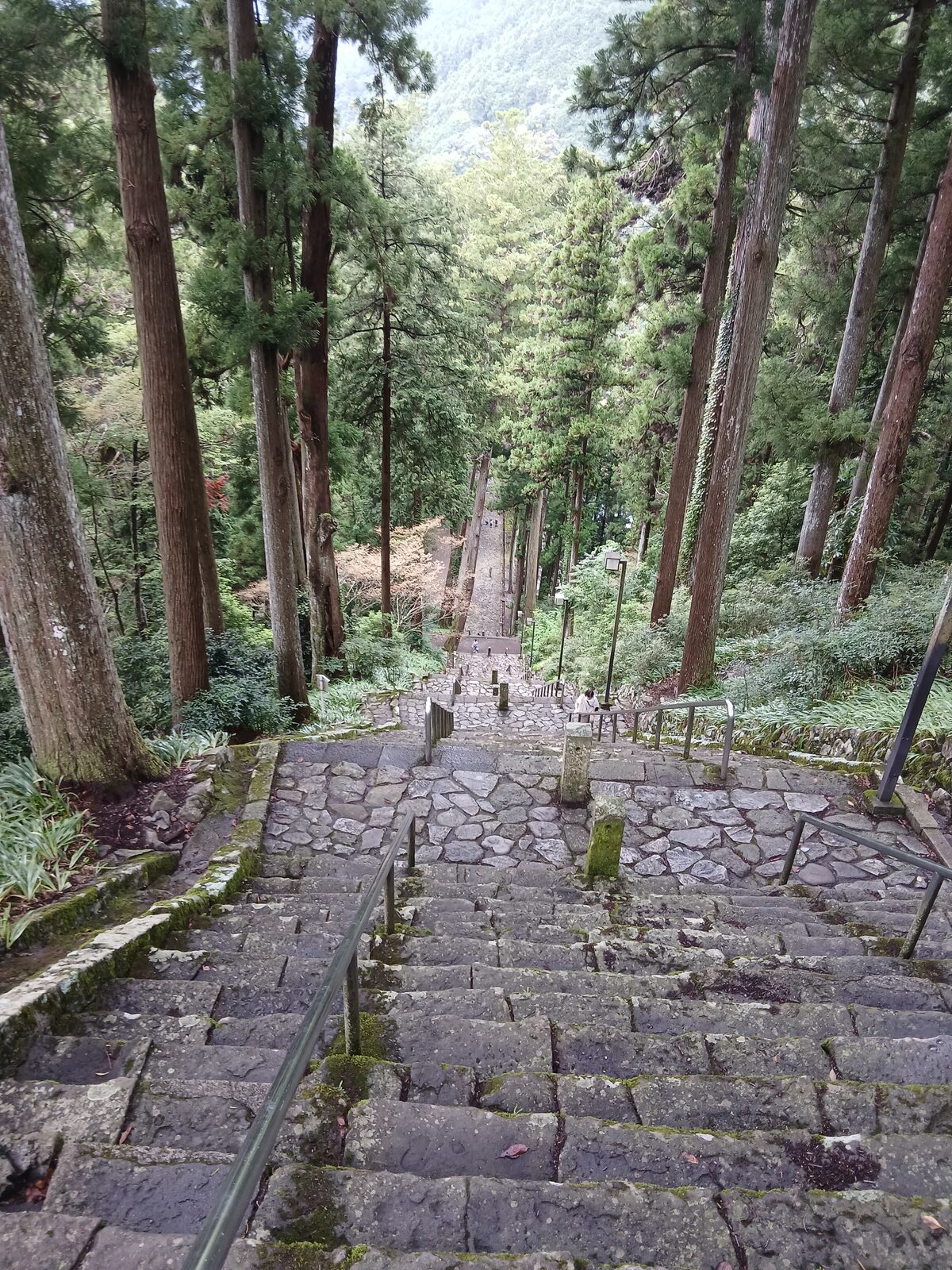 身延山久遠寺の三門