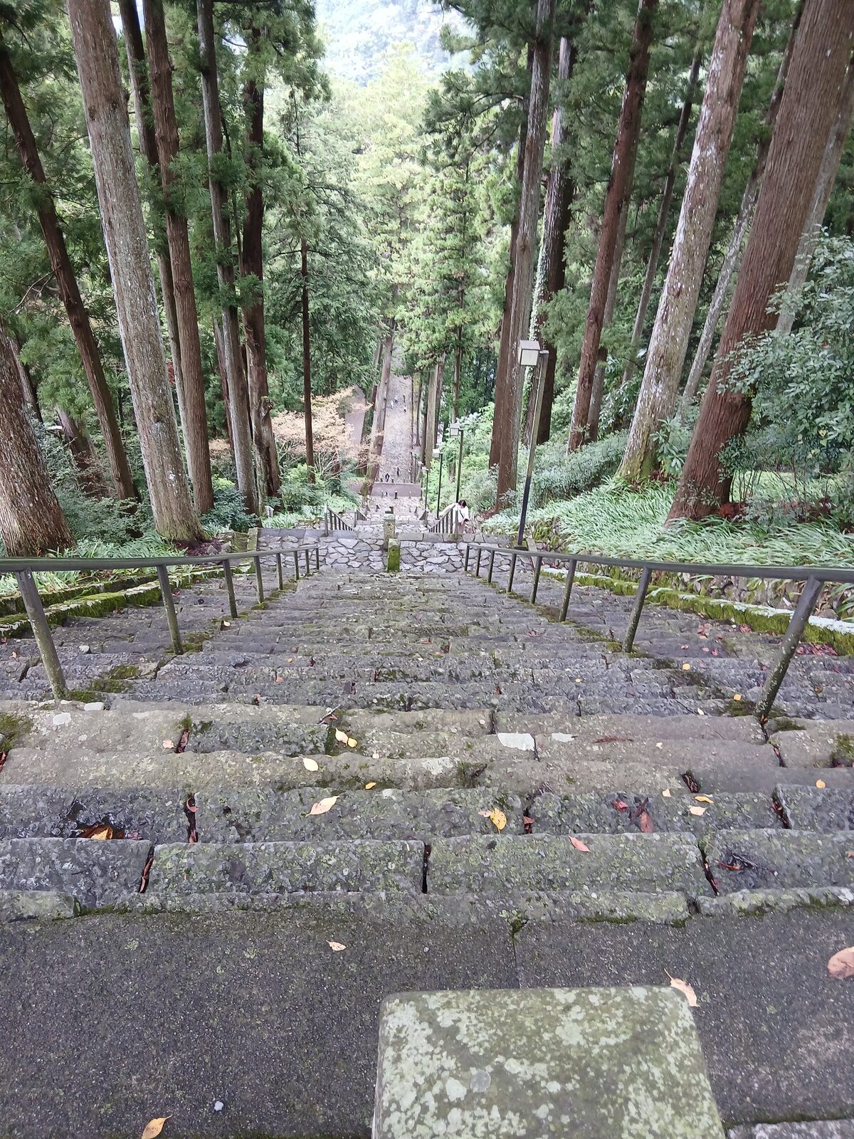 久遠寺の杉並木の参道