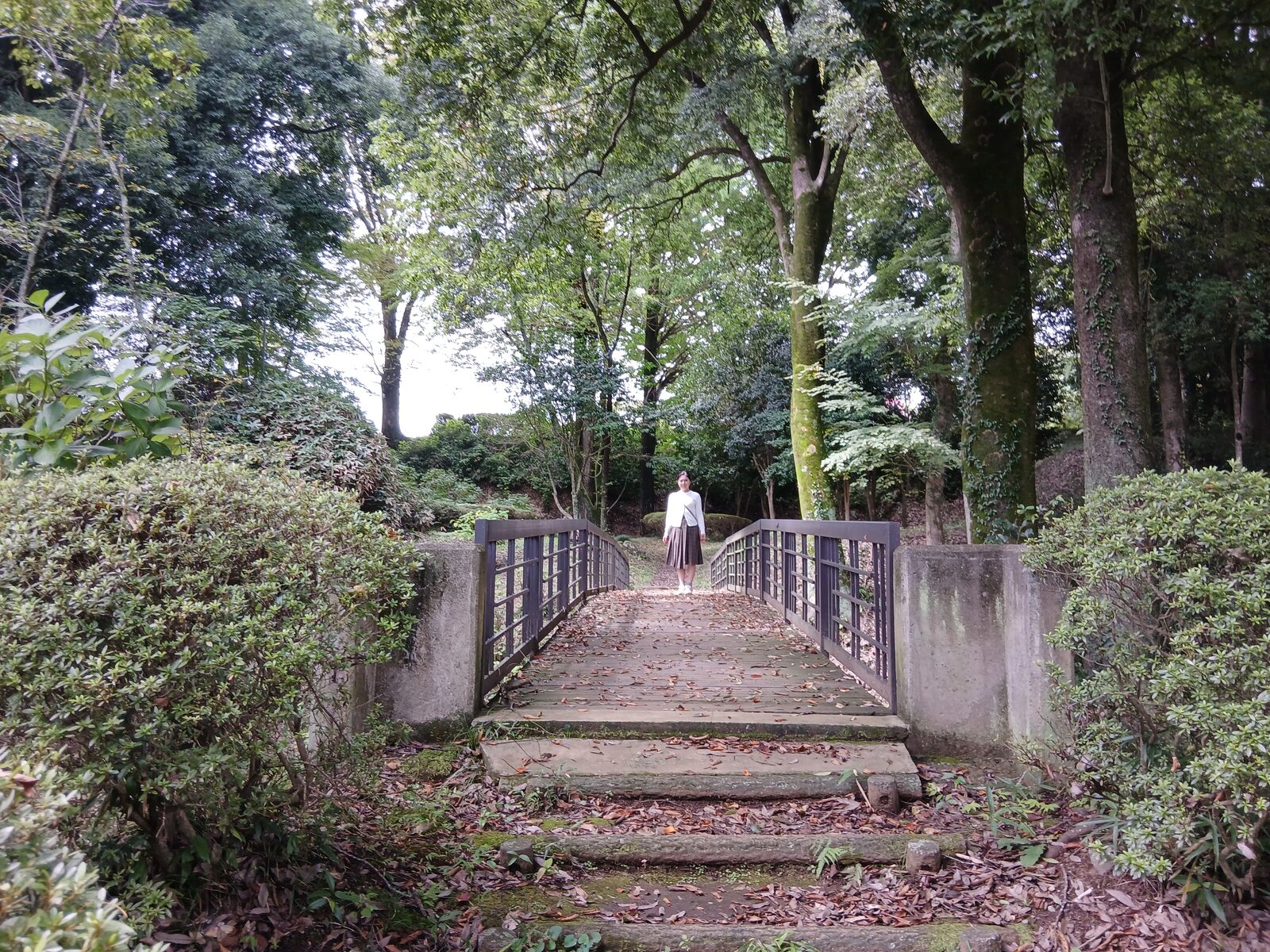 黒羽城跡の土塁と階段