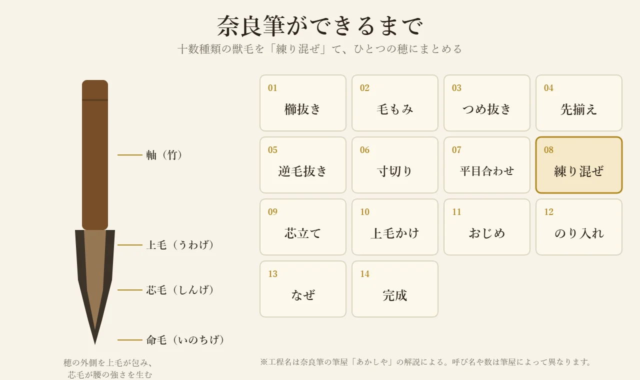 奈良筆の穂の構造と、櫛抜きから完成までの十四の工程を示した図