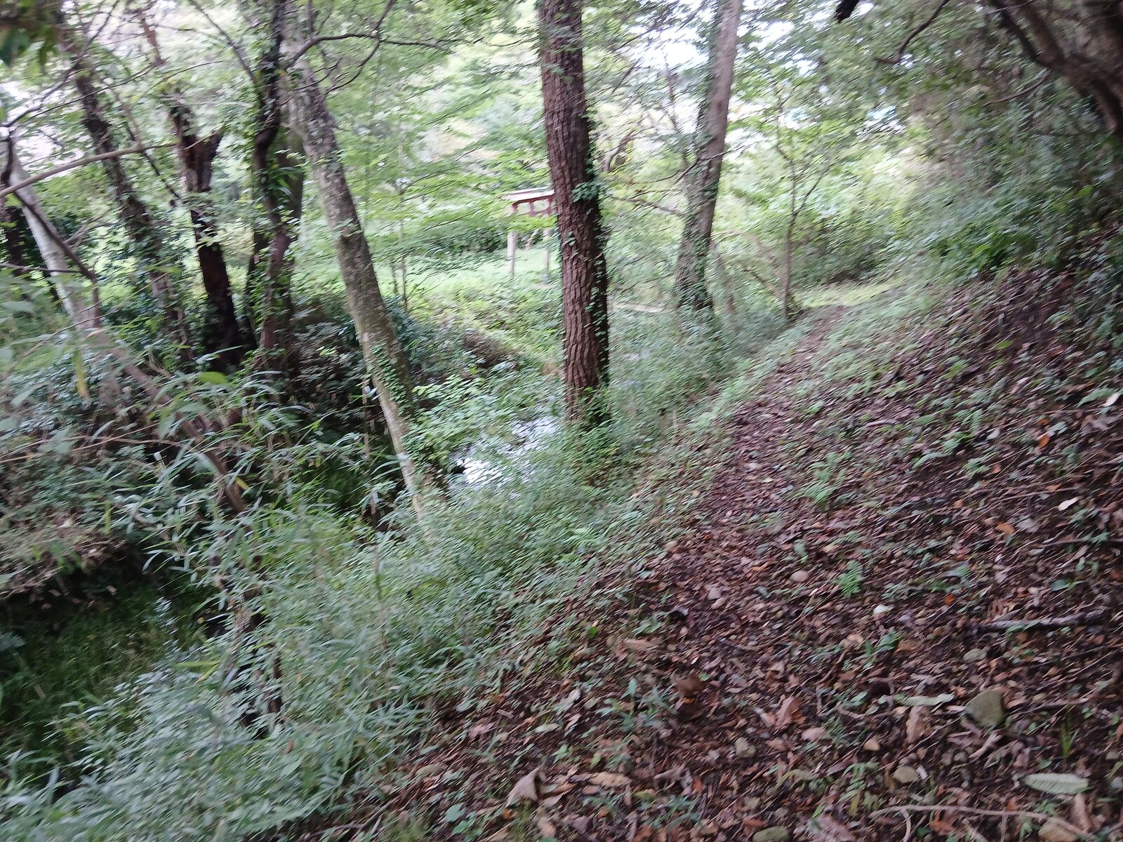 那須神田城跡の土塁と堀跡