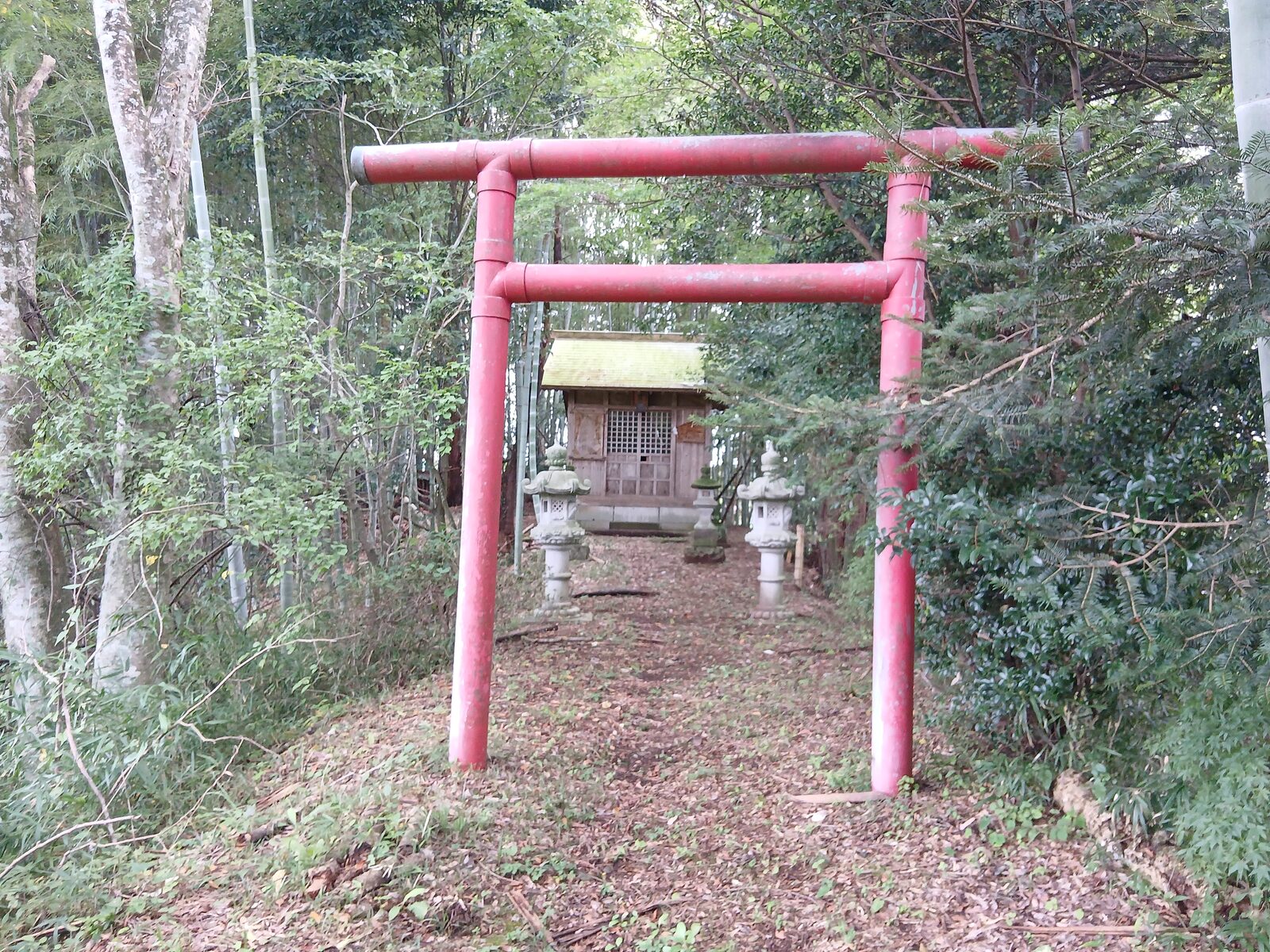 那須神田城跡の郭内に立つ鳥居と祠