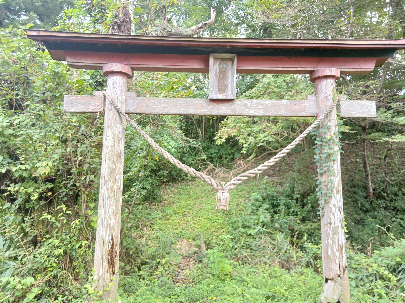 那須神田城跡の木の鳥居