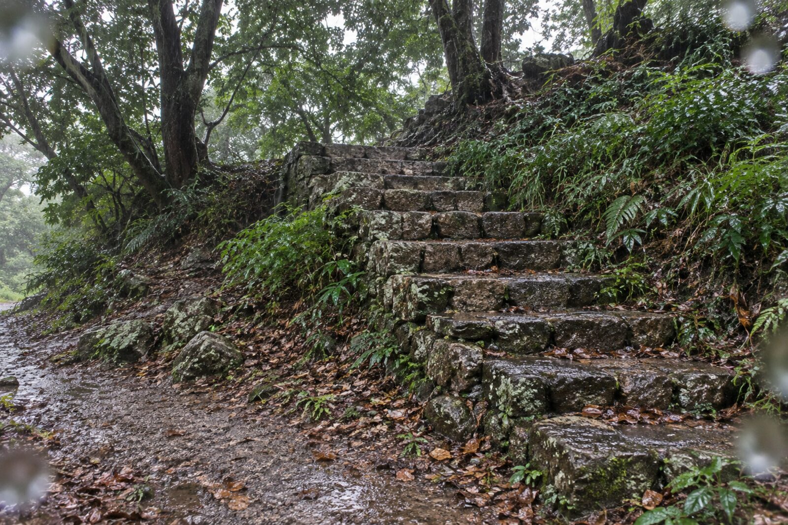 岡豊城跡の石段