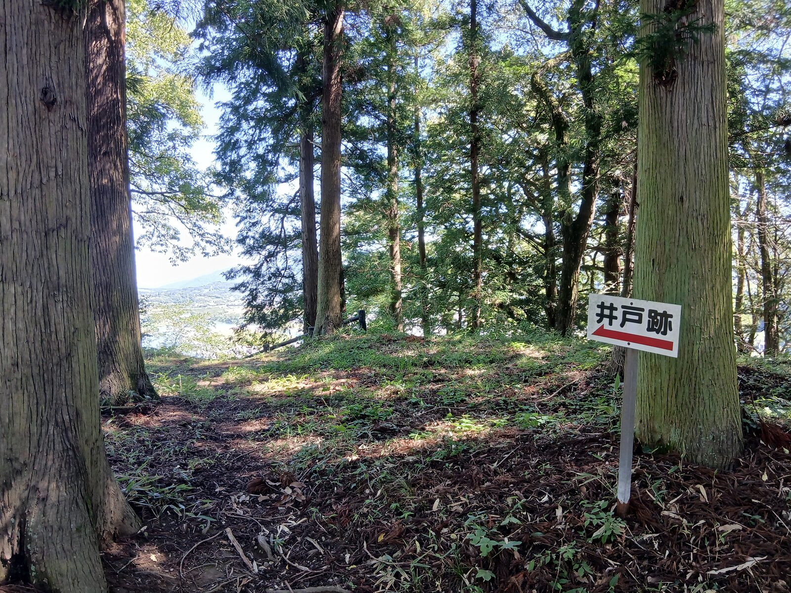 oshima-doi