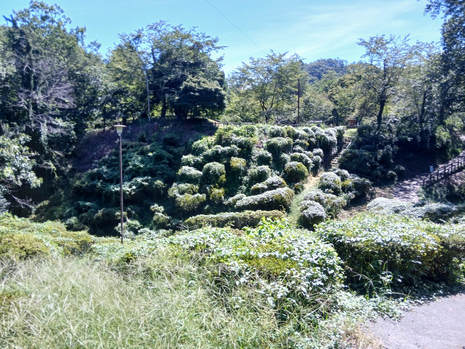 oshima-honmaru