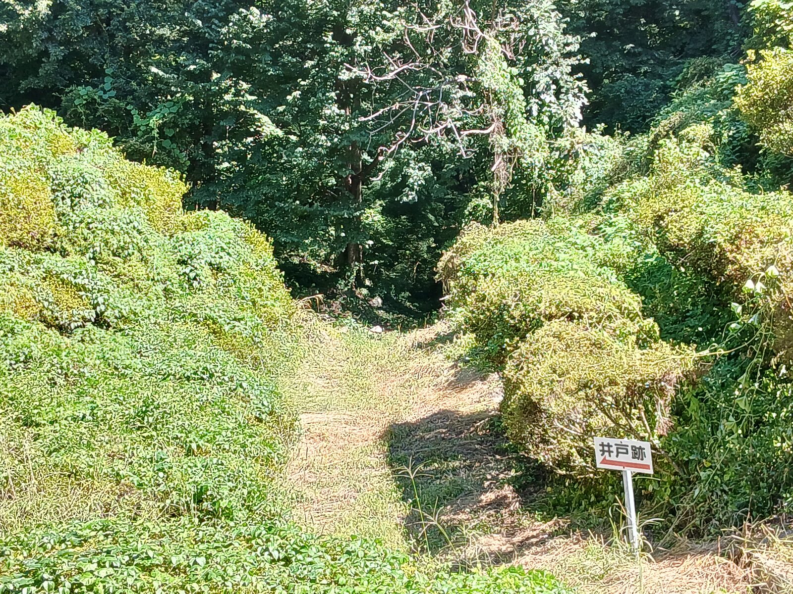 oshima-kidoato-hiroba