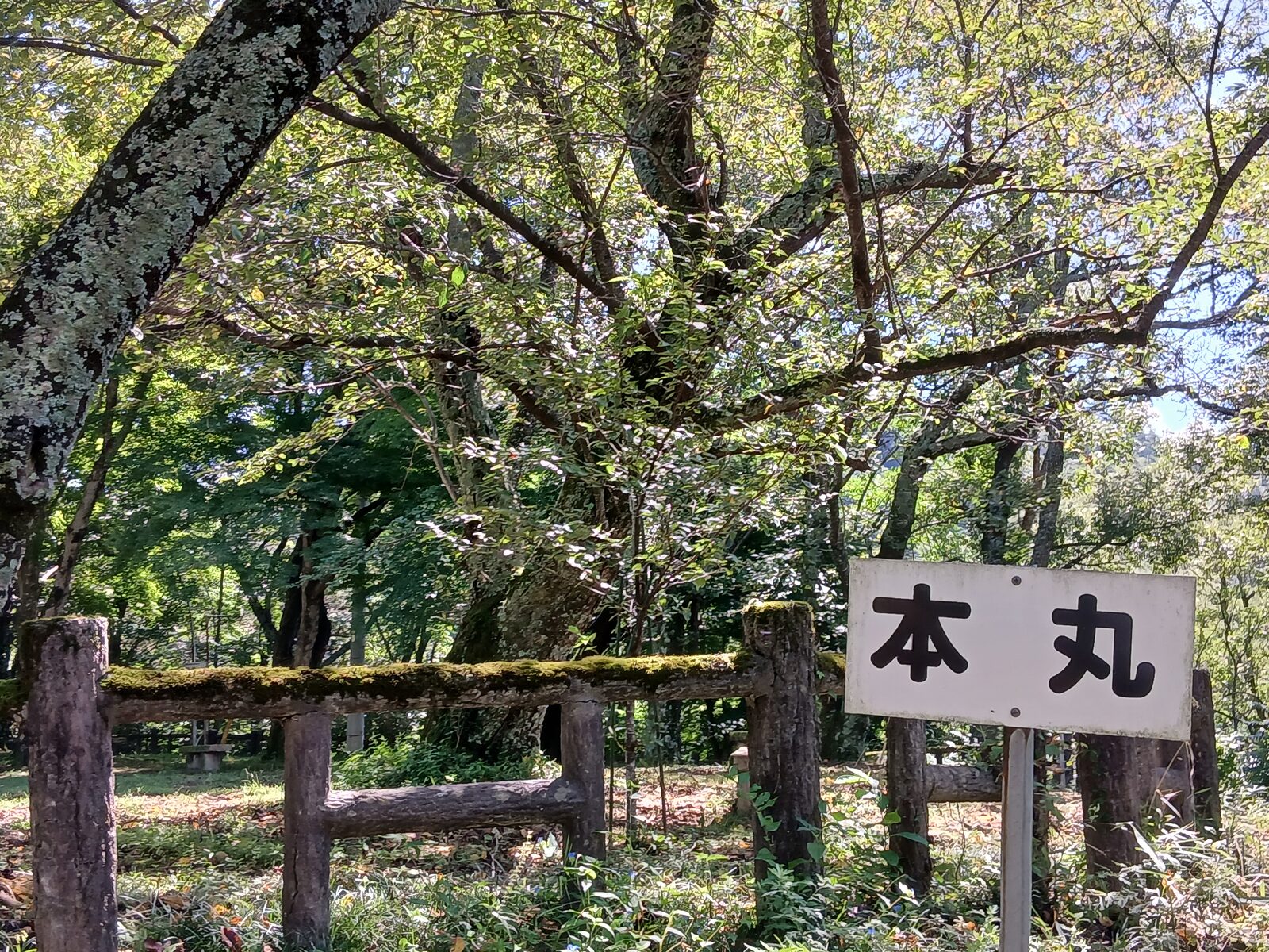 oshima-kidoato