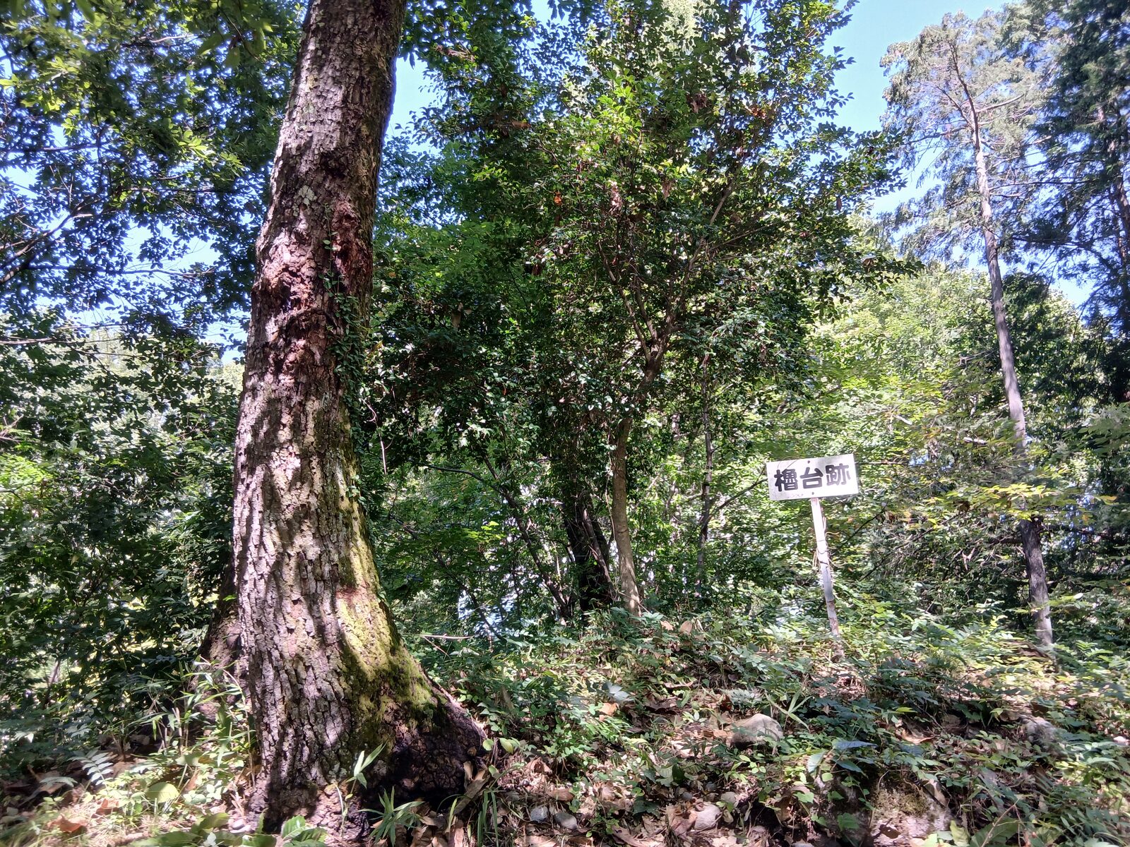 oshima-ninomaru
