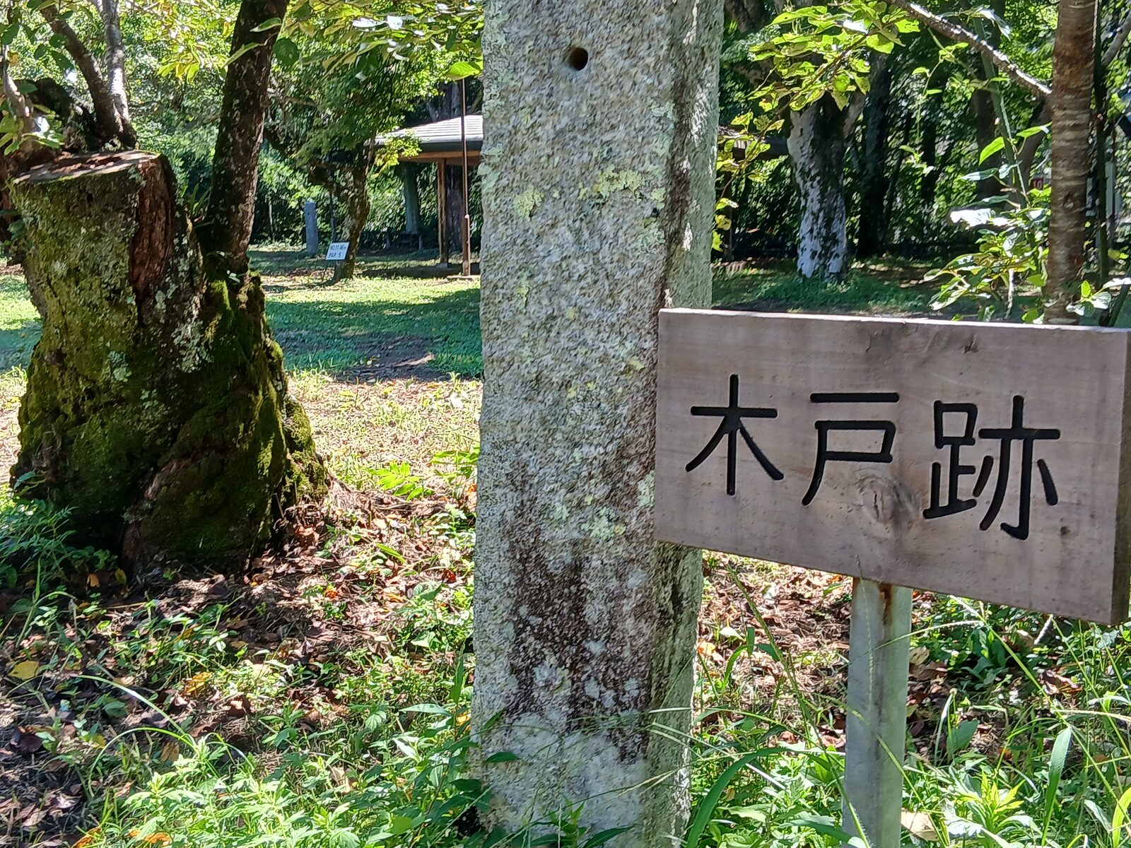 oshima-tenryugawa-chobo
