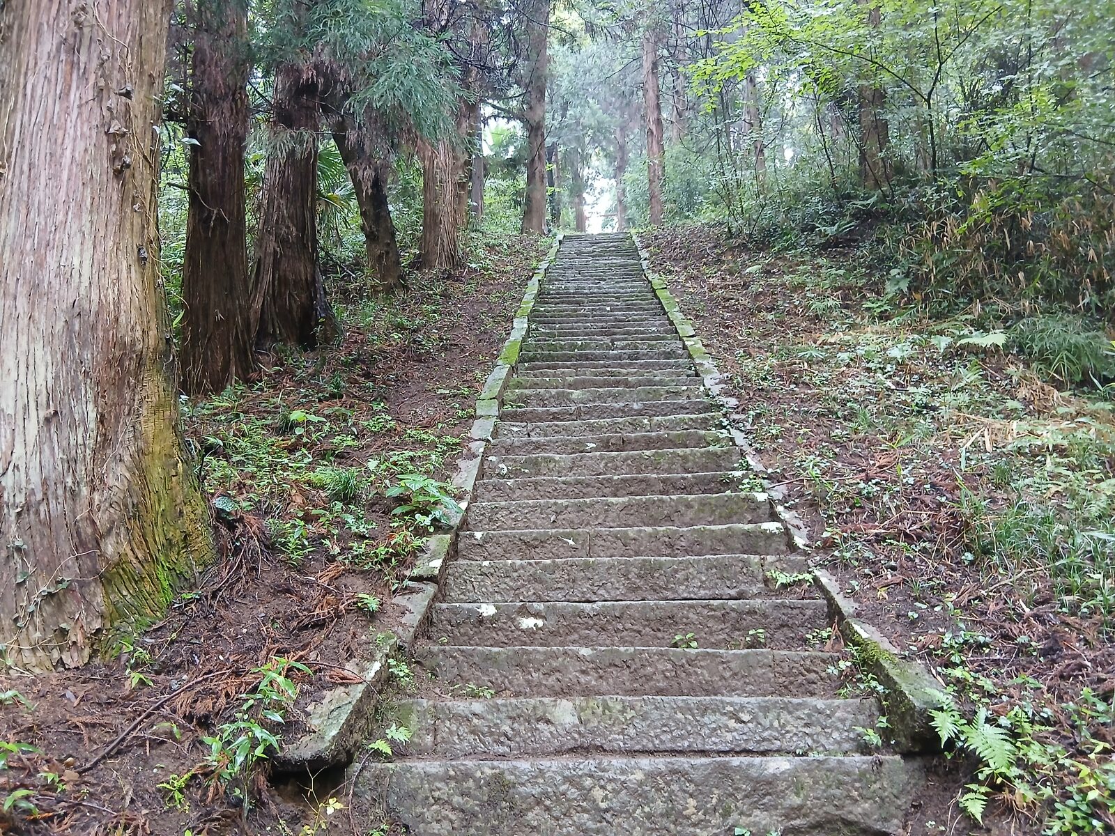 新府城跡の石段