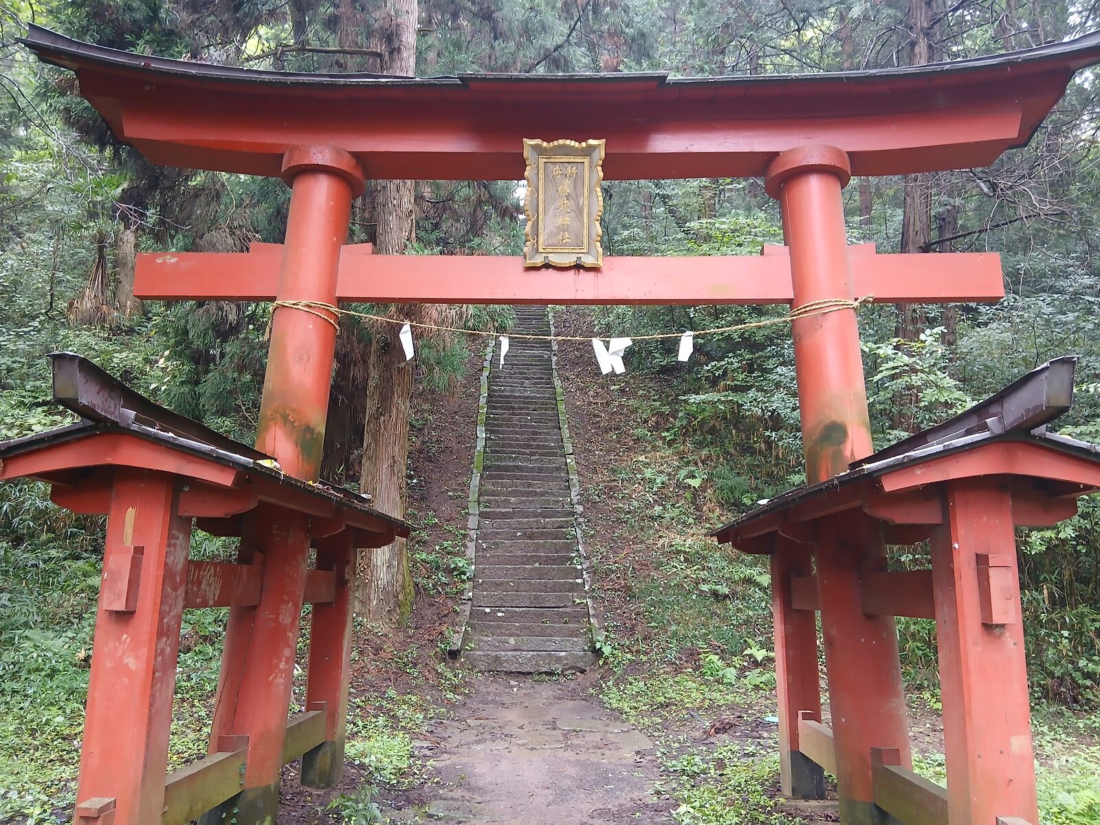 藤武神社の鳥居