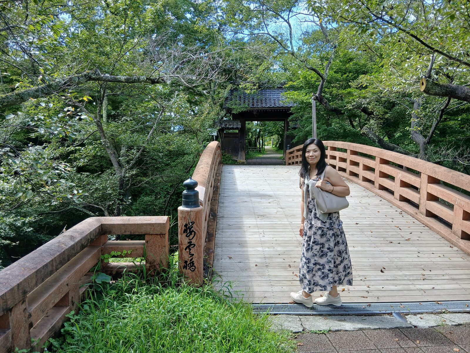 高遠城址公園の桜雲橋