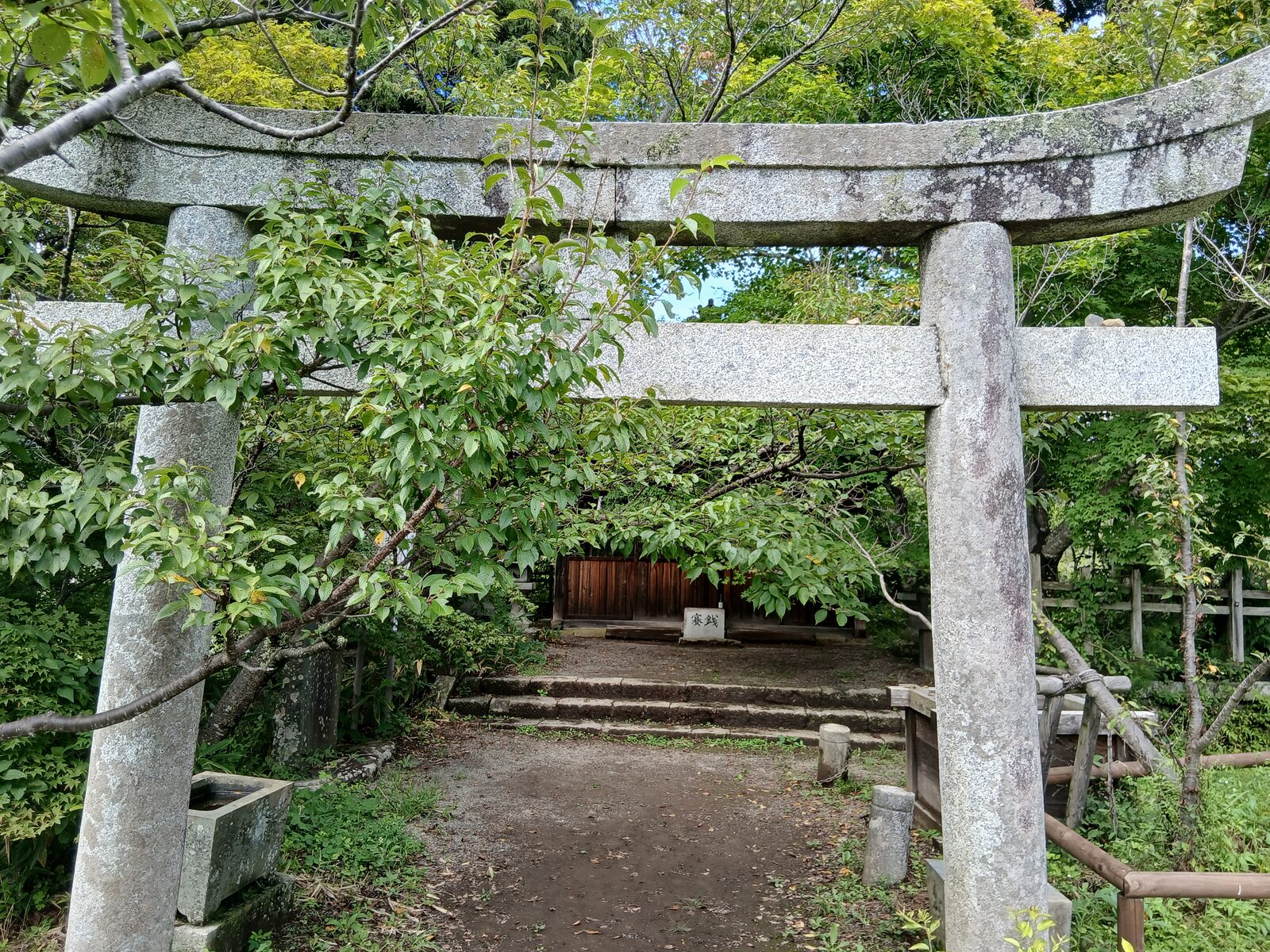 新城藤原神社の鳥居