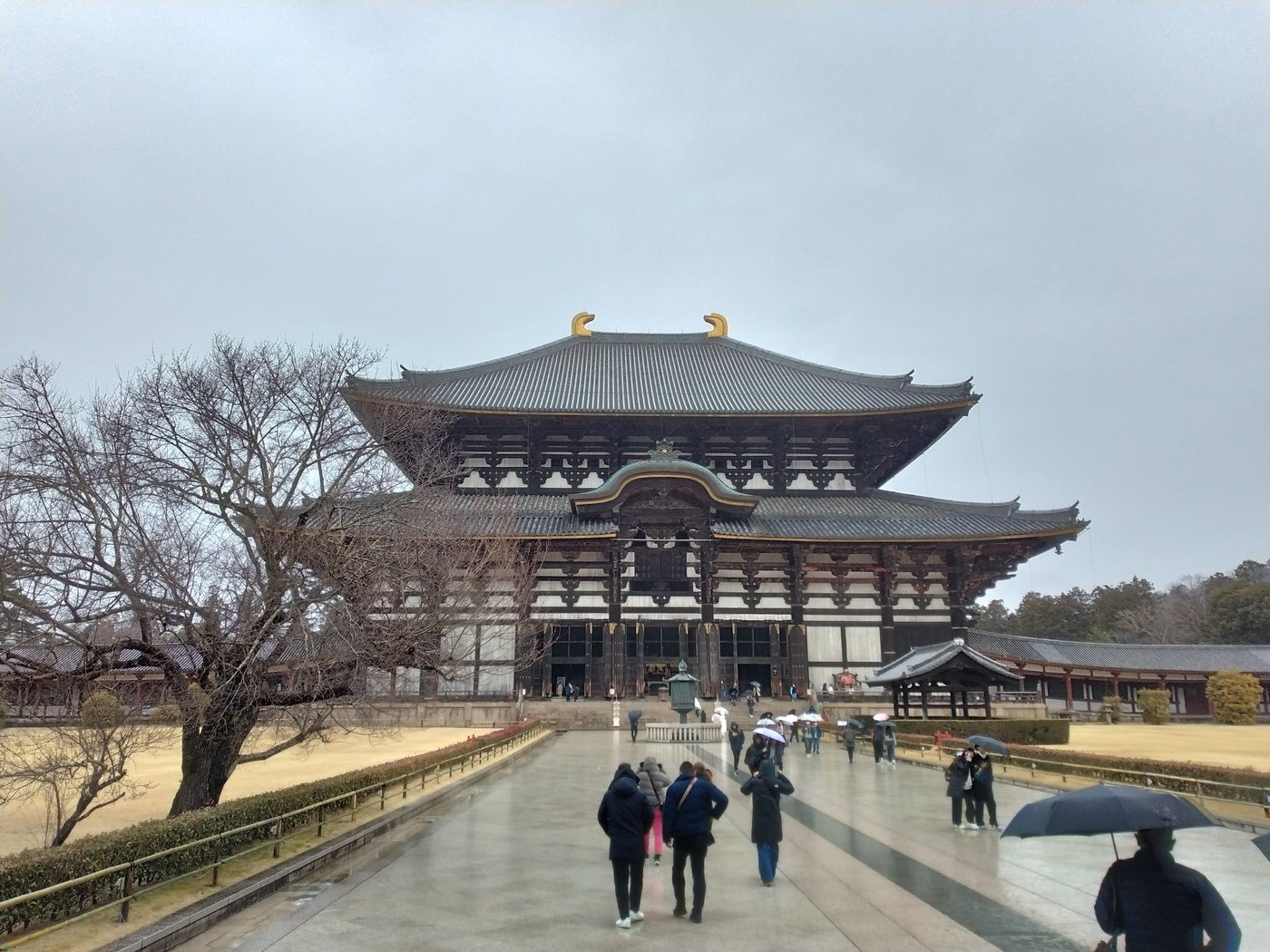 東大寺の大仏殿を参道から望む