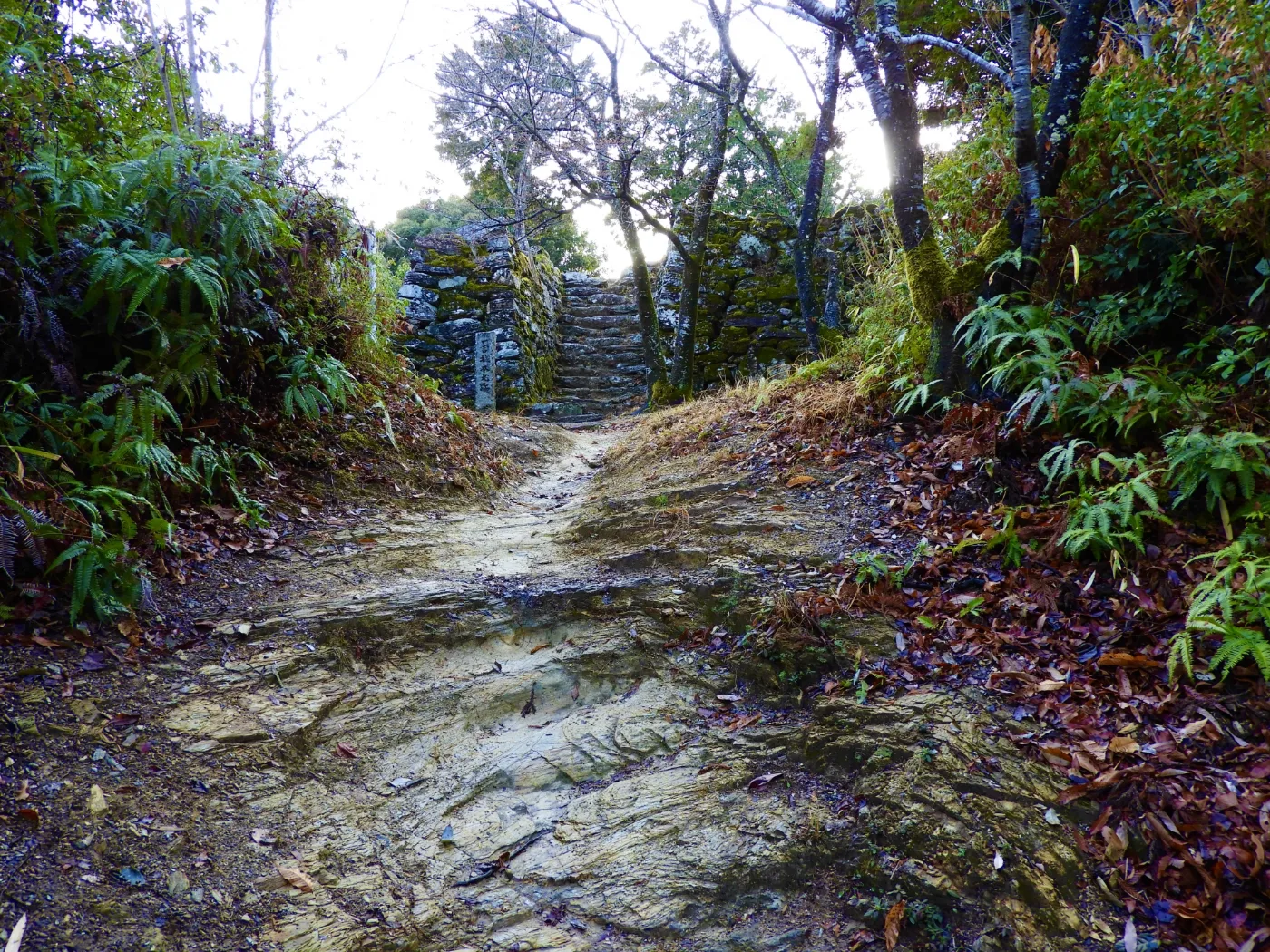 一宮城跡への山道