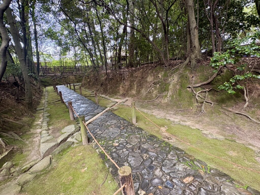 慈光院の木立のなかを通る石畳の参道