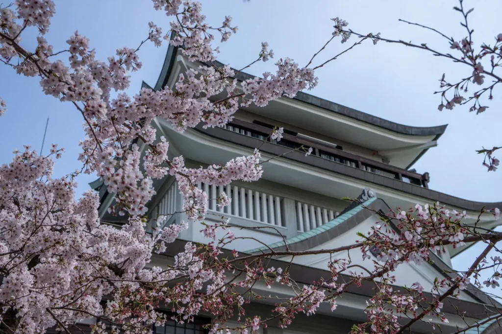 桜の小牧山と山頂の小牧市歴史館