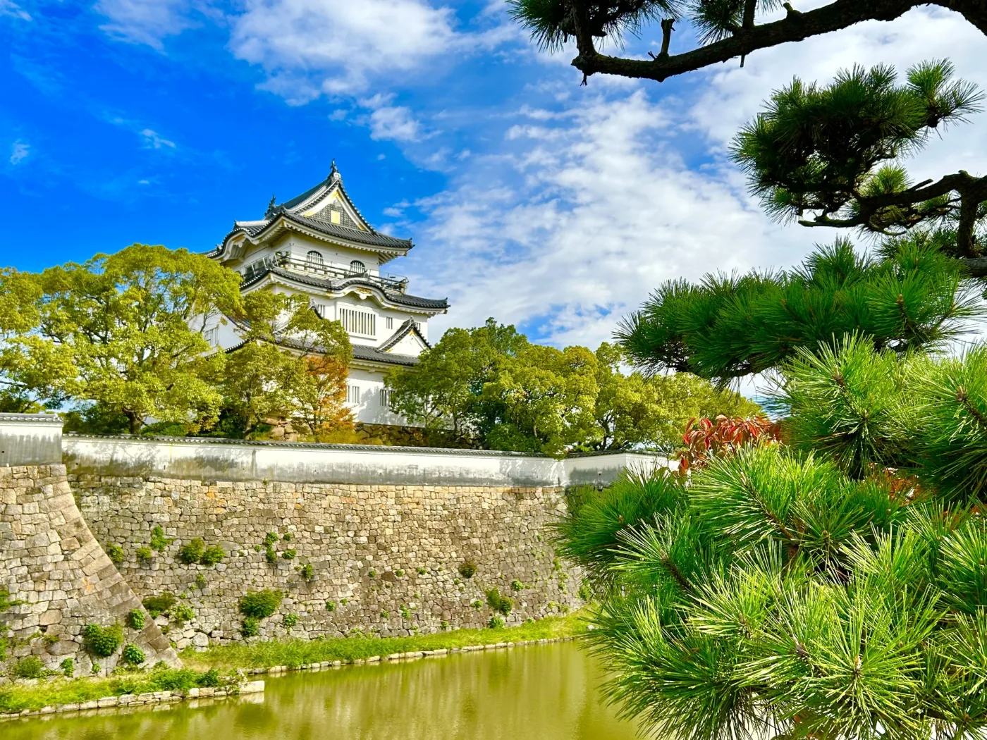 岸和田城の天守と堀