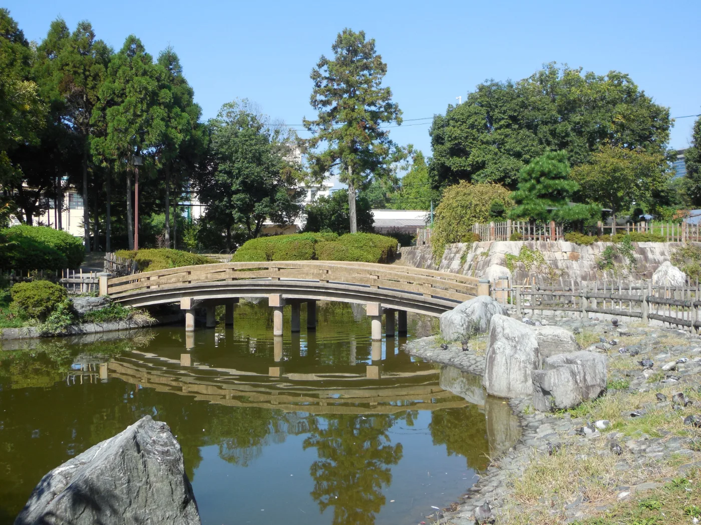 高槻城跡公園の池と石垣