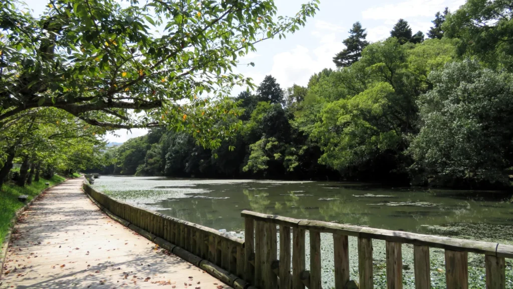 丹波亀山城の外堀跡（南郷池）