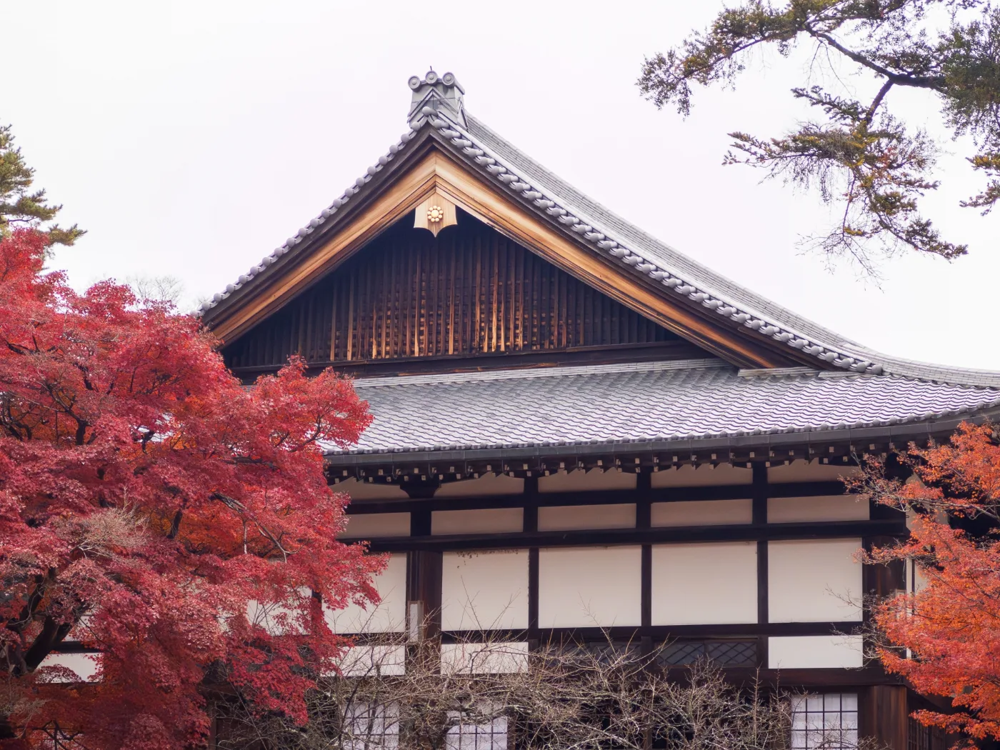 丹波亀山城跡の建物と紅葉