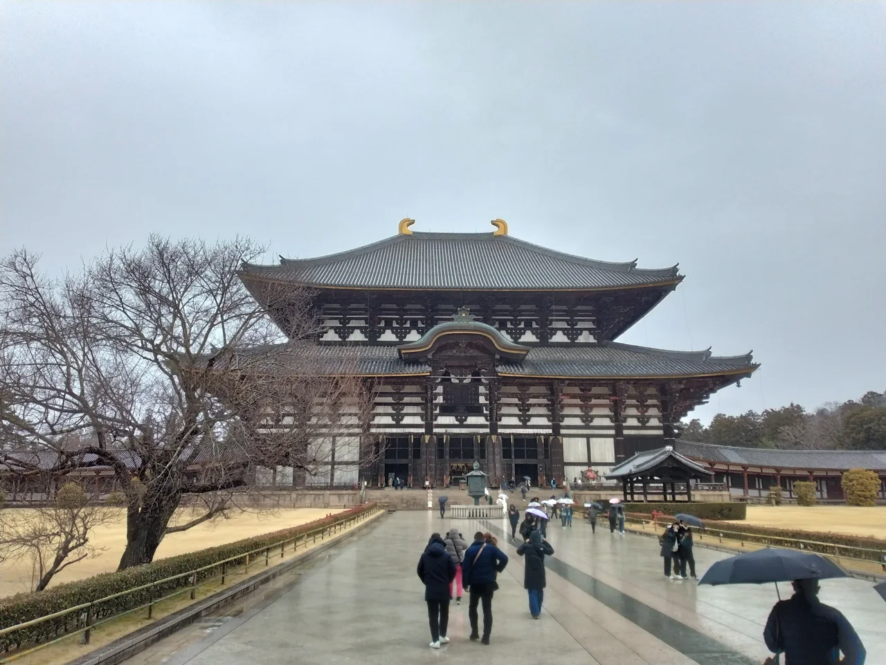 雨の日の東大寺大仏殿