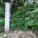 飛騨高山藩（高山藩）／場所・アクセス・地図 金森家３万３千石：金森頼時 出羽国上山藩へ移封のため廃藩し天領となった高山藩【幕末維新写真館】